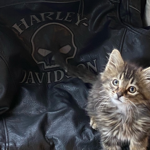 Meet your Posher, Chris - Picture 11 of 16